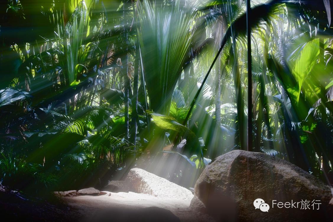 世界十大海岛最美海滩,全球最美十大海岛粉色海滩