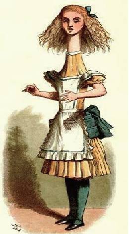 爱丽丝创始人,爱丽丝的作者是数学家