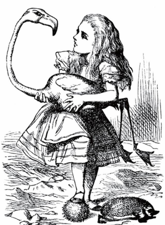 爱丽丝创始人,爱丽丝的作者是数学家