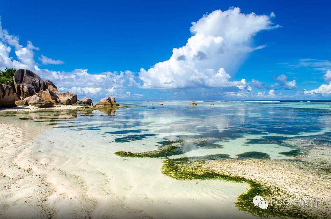 世界十大海岛最美海滩,全球最美十大海岛粉色海滩