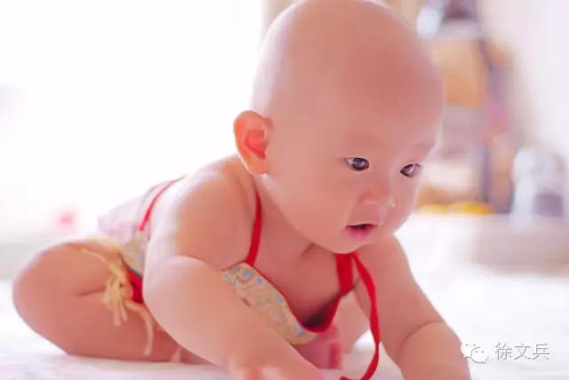 字里藏医电子版,字里藏医txt下载