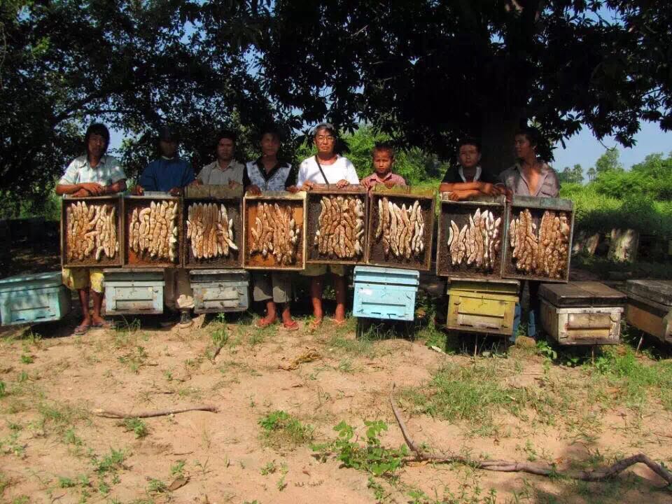 这年头哪里有什么真爱,现在哪里还有真爱