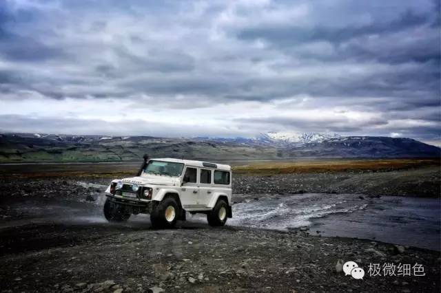 我在冰岛，带回一截漂亮的枯木