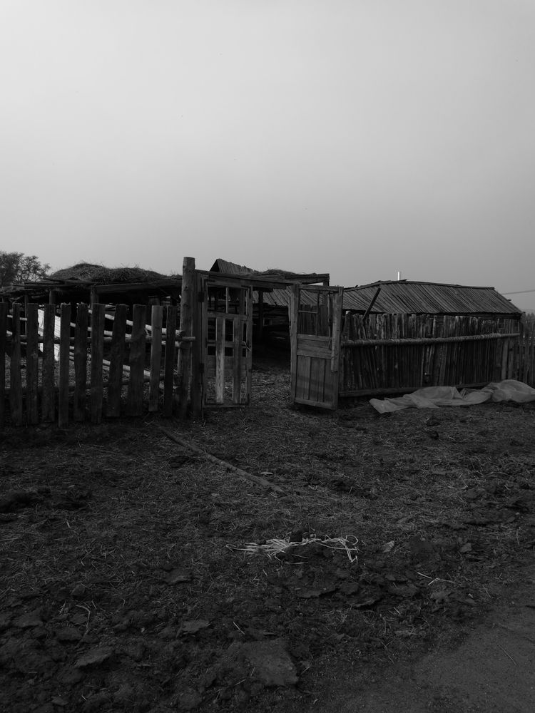 记忆深处的呼伦贝尔,记录呼伦贝尔美好时光