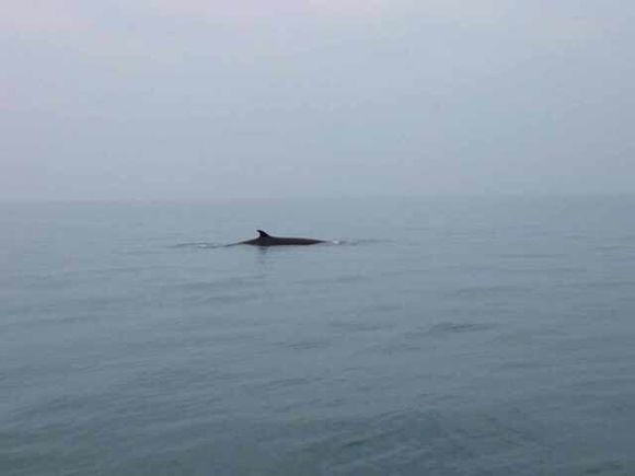 我是远洋渔民，爱钓鱼，更爱周游世界