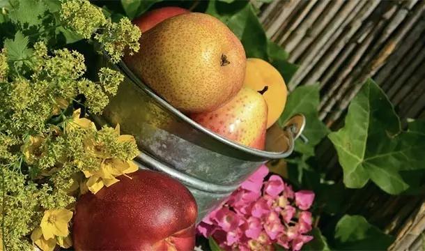 关于水果你所不知道的25件事