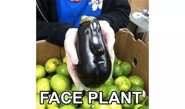 关于水果你所不知道的25件事