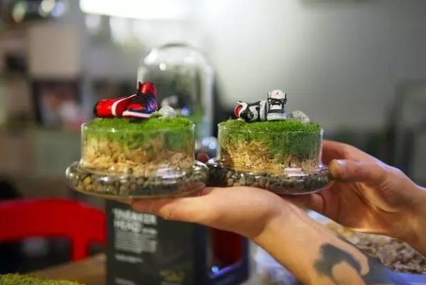 球鞋里面的圈子,鞋里面的世界