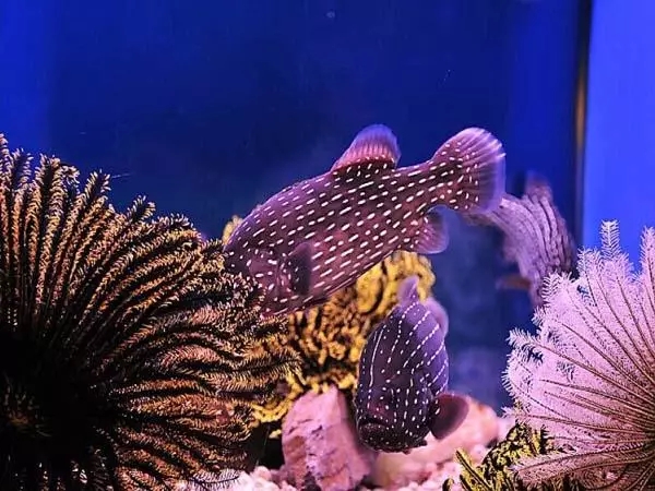 大连这几个富有情调的地方，我好想与你牵手走过