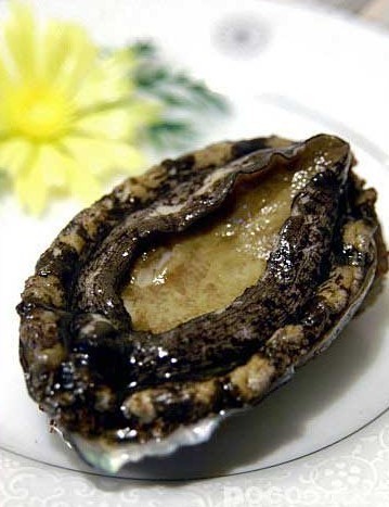 新西兰美食攻略自助,新西兰顶级美食图片