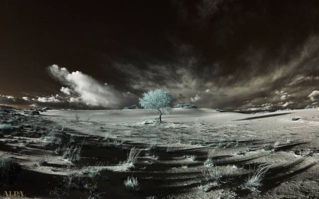 三分钟了解佳能系列,三分钟了解世界地形图