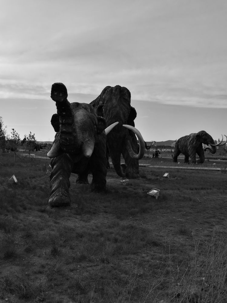 记忆深处的呼伦贝尔,记录呼伦贝尔美好时光
