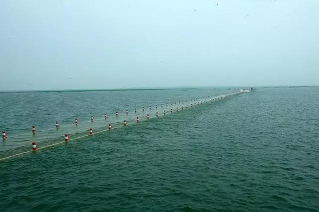 6月去江西旅游必去十大景点,八月江西旅游必去十大景点