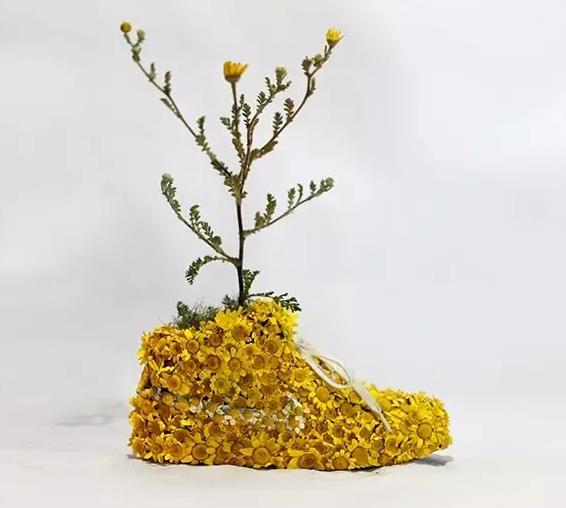 球鞋里面的圈子,鞋里面的世界