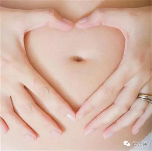 字里藏医电子版,字里藏医txt下载