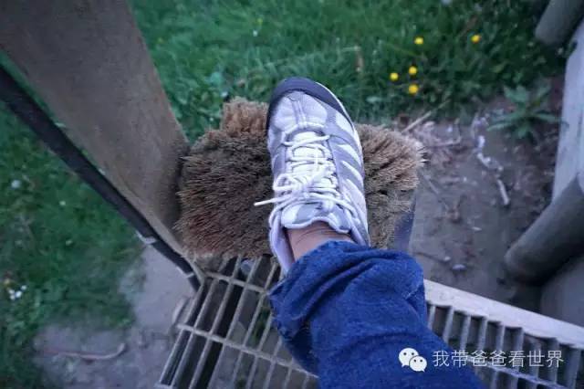 新西兰摩拉基大圆石的形成原因,新西兰圆石图片