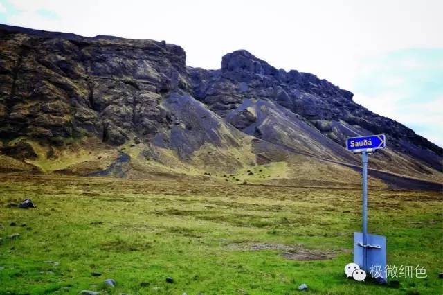 我在冰岛，带回一截漂亮的枯木