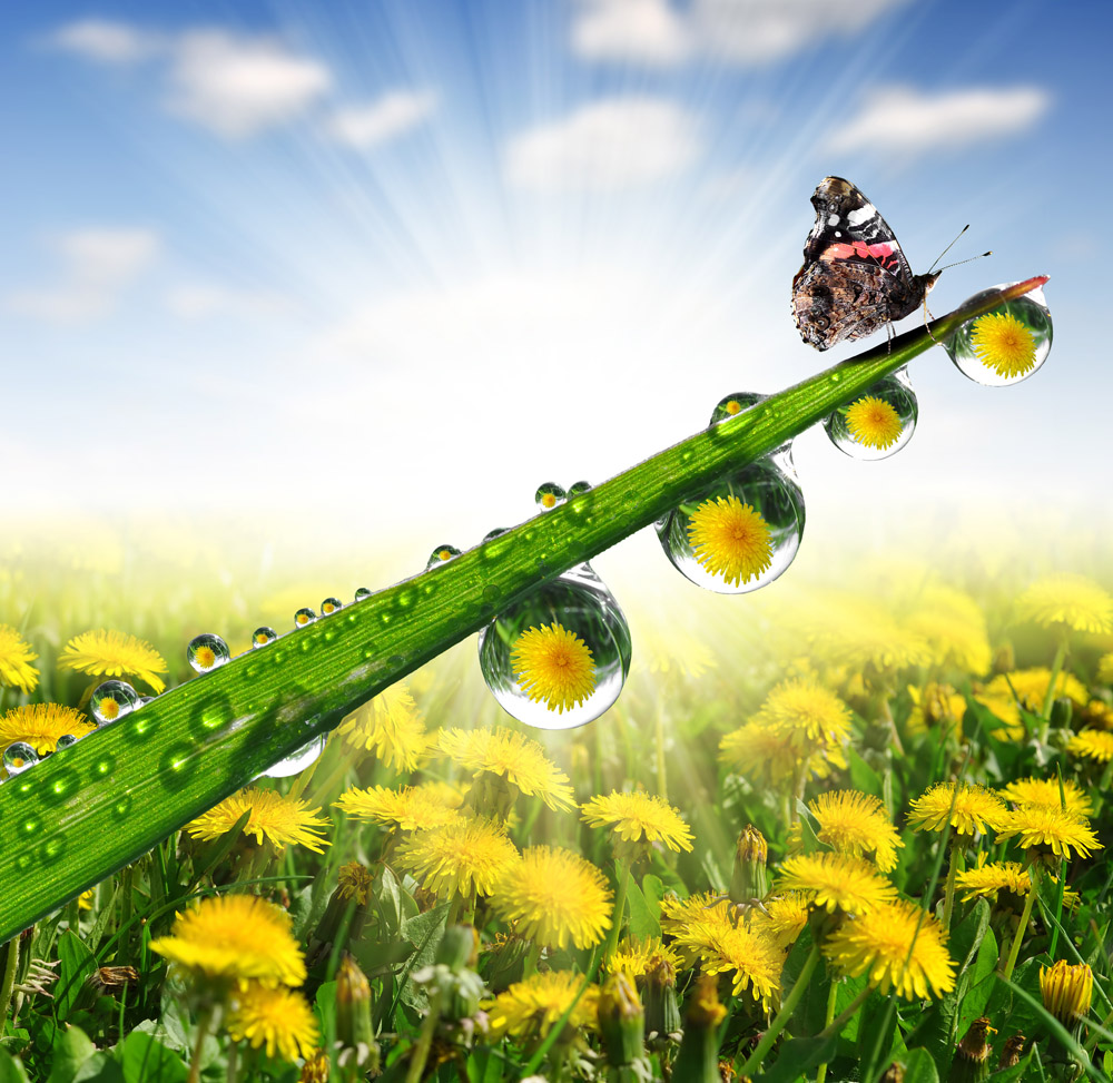 宝宝通便后粑粑成形了,便秘扎针管用吗