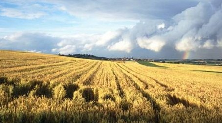 农业调转启示录（三）｜安全，给他健康，给你财富