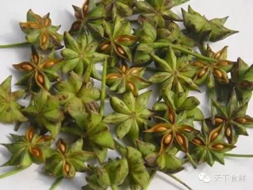 抗生素还是天然的好，你知道的有哪些？