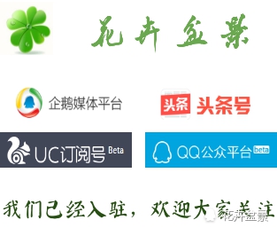 石竹花寓意代表富贵吗,石竹花卉有哪些特点呢