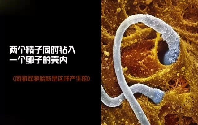 造人计划之前必须要做的几件事,造人是个很辛苦的事情