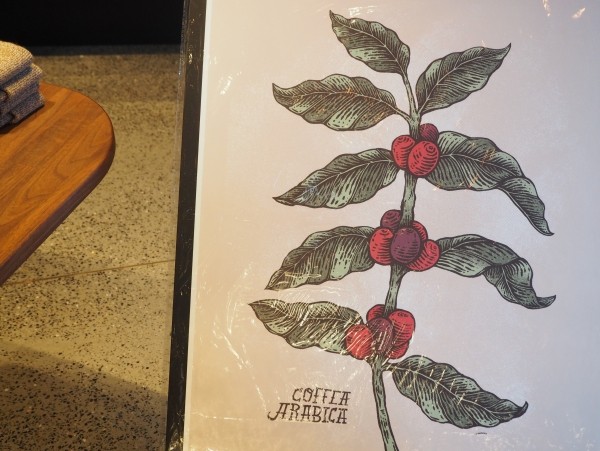 网红星巴克是干什么的,上海网红星巴克是做什么的