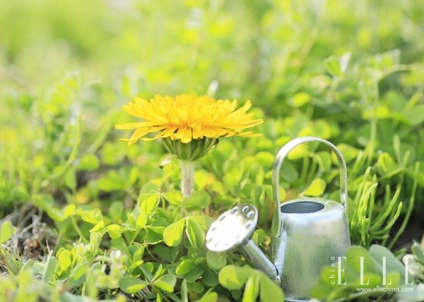 有孩子的婚姻能熬过七年之痒吗,为什么说婚姻熬不过七年之痒