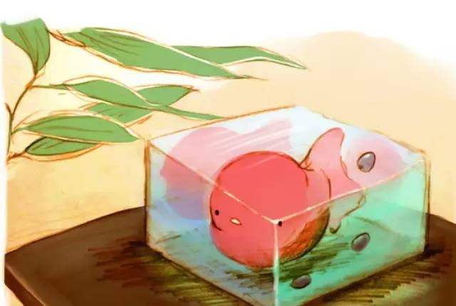 儿童说谎的案例与教育策略,孩子怕挨打说谎应该怎么办