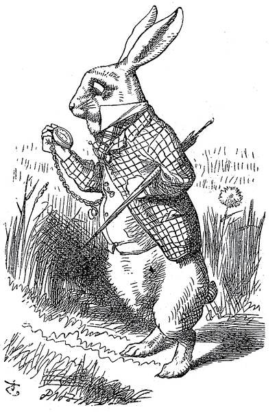 爱丽丝创始人,爱丽丝的作者是数学家