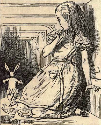 爱丽丝创始人,爱丽丝的作者是数学家