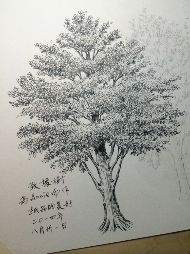 五年百款「纸品的美好」的日日夜夜