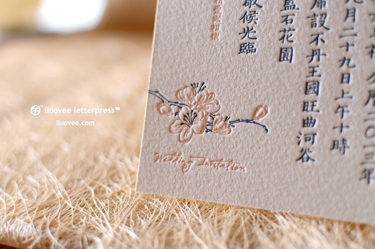 五年百款「纸品的美好」的日日夜夜