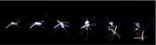 深圳镭神智能科技有限公司怎么样,镭神智能上市