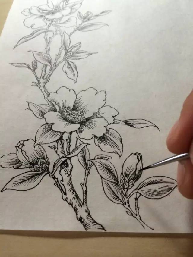 五年百款「纸品的美好」的日日夜夜