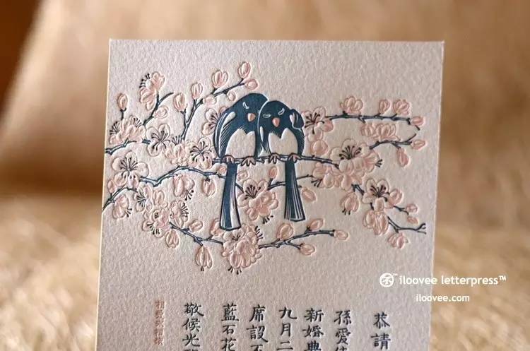 五年百款「纸品的美好」的日日夜夜