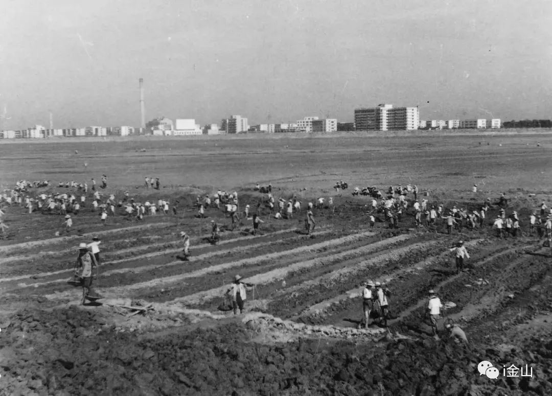 金山围填海最新进度,沿海填海造陆会怎么样