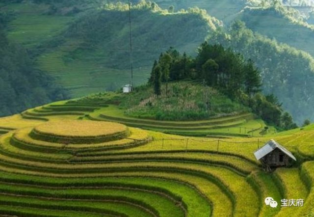 怀化溆浦县山背梯田全景,溆浦山背梯田