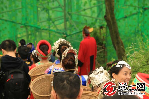 杜仲雄花烂漫开慈利富硒产业春风来