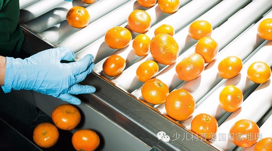 宁可拙而不足也可巧而有余,不可不足宁可有余