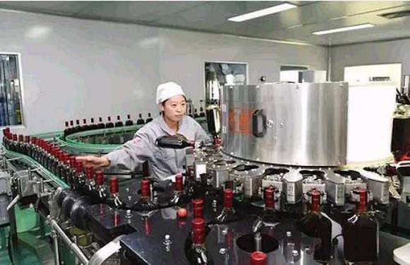 内蒙古鸿茅药酒事件,鸿茅药酒老总前世今生