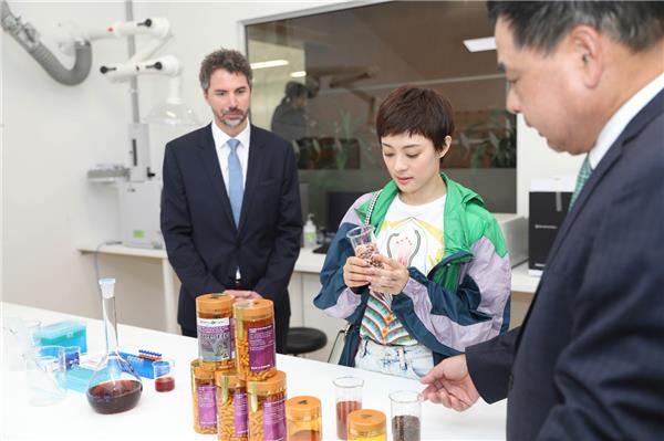 大满贯孙俪,大满贯视后孙俪