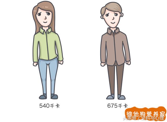 晚餐食谱大全及注意事项,晚餐应该吃什么更丰盛