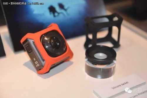 拍鸟尼康d5还是d500 (尼康d5与d500对焦系统的区别)