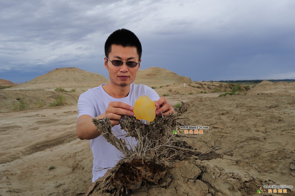 斑彩石是宝石吗,斑彩石宝石家族