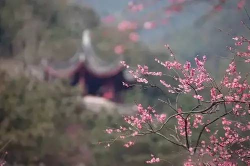 鍖椾粦鍐ぉ閫傚悎鍘诲摢閲岀帺,鍖椾粦娓哥帺鏅偣鏀荤暐璺嚎鎺ㄨ崘