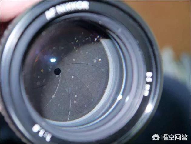 镜头发霉以后不清理会继续发酵吗,相机镜头发霉清理要多少钱呢