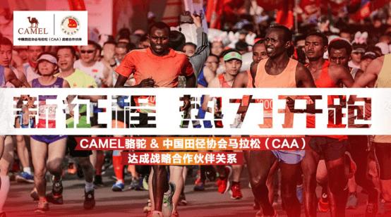 骆驼大赛冠军,骆驼天猫双十一