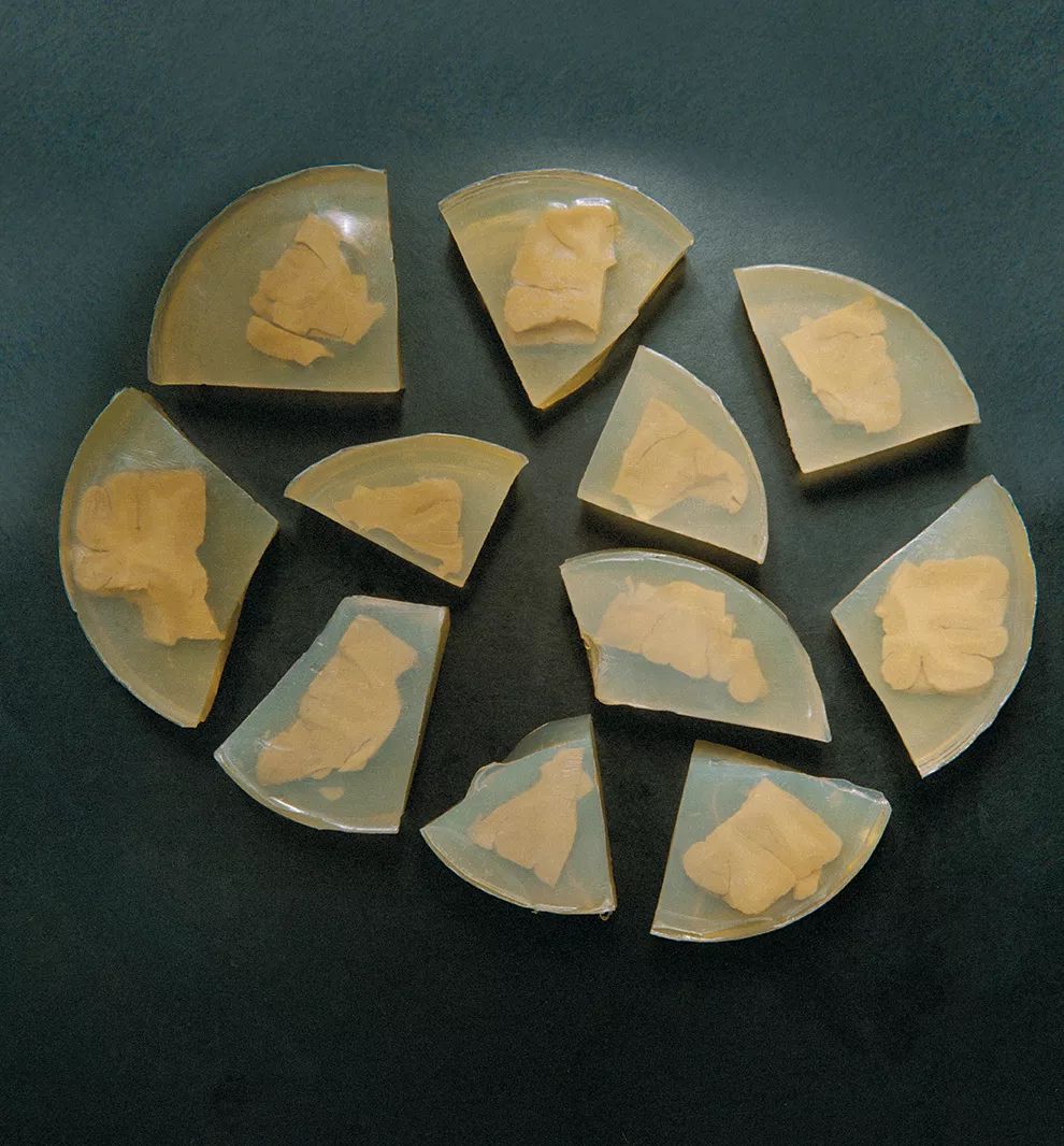 爱因斯坦的大脑电影,爱因斯坦的大脑歌曲