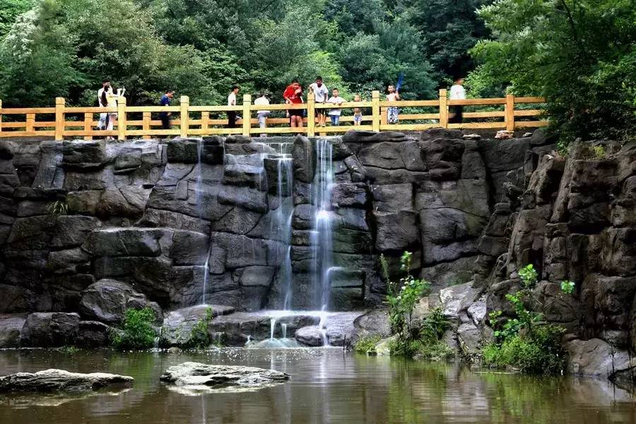 新闻义工团▏购买爱心桃，有两种打开方式